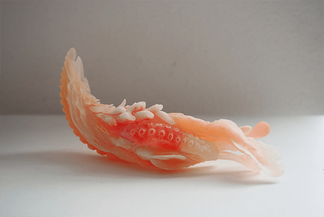 Kuang-Yi Ku, Tiger Penis Project